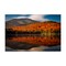 Stupell Industries Reflecting Autumn Foliage Canvas, design by Jonathan Zaharek